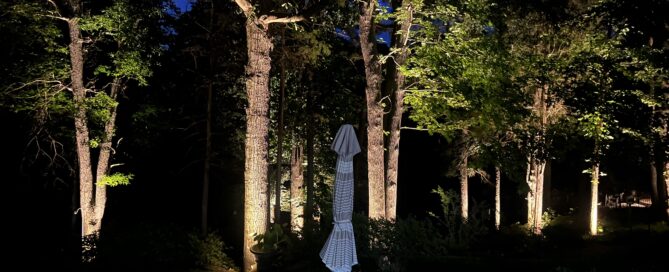 outdoor lighting garden trees