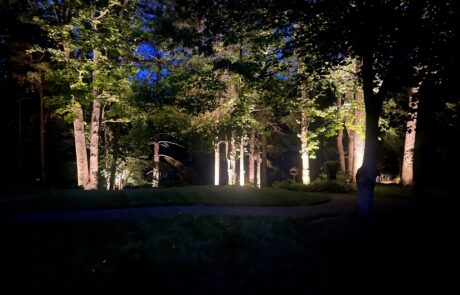 outdoor lighting garden trees 2