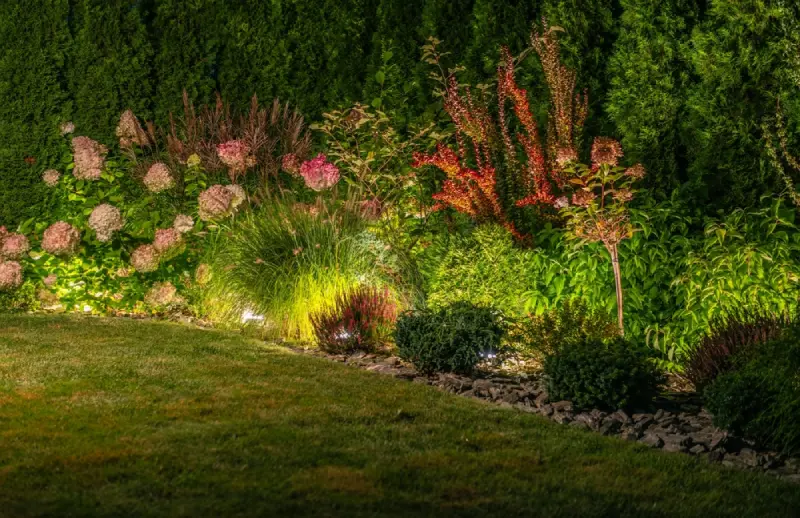Beautiful, mature backyard garden illuminated by led outdoor lighting.