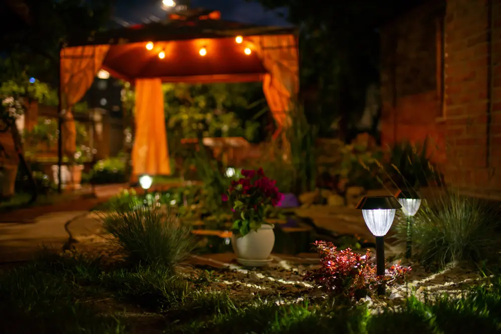Decorative small solar garden light, lanterns in flower bed. Garden design.