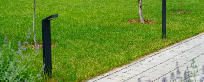 Two sleek black bollard lights installed along a stone paver walkway. Small trees and bushes are in the background.