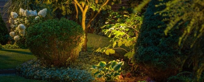 Landscaping with shrubs, a white hydrangea bush, and trees in a yard. A spotlight behind a plant illuminates the greenery.