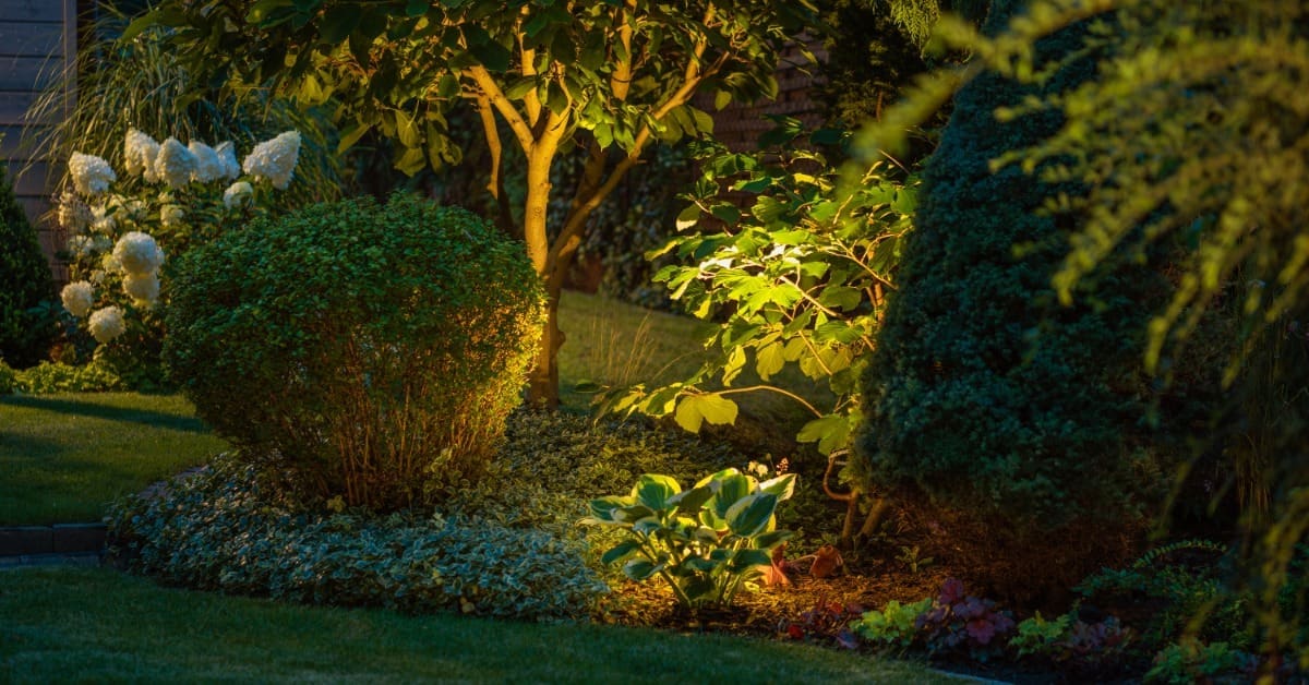 Garden plants and shrubs are illuminated at night by low landscape lights along mulch, a walkway, and a stone border.