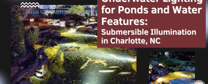 Underwater Lighting for Ponds and Water Features Submersible Illumination in Charlotte, NC